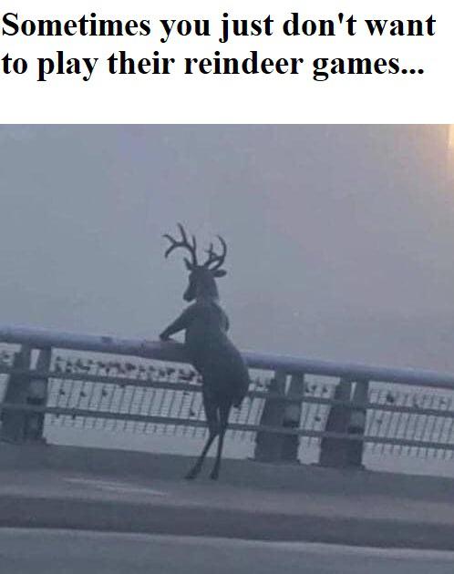 dank memes - bucks fans meme - Sometimes you just don't want to play their reindeer games...
