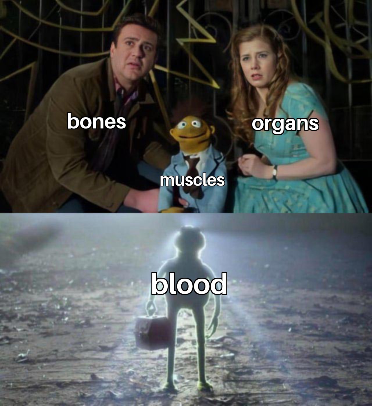 dank memes - kermit arrival meme - A bones organs muscles blood