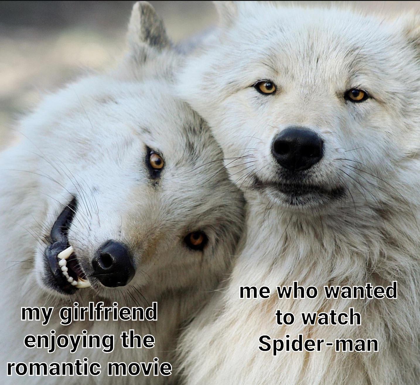dank memes - fauna - my girlfriend enjoying the romantic movie me who wanted to watch Spiderman