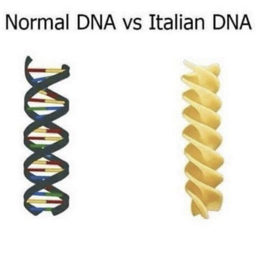 dank memes - dna funny - Normal Dna vs Italian Dna lon Mooc