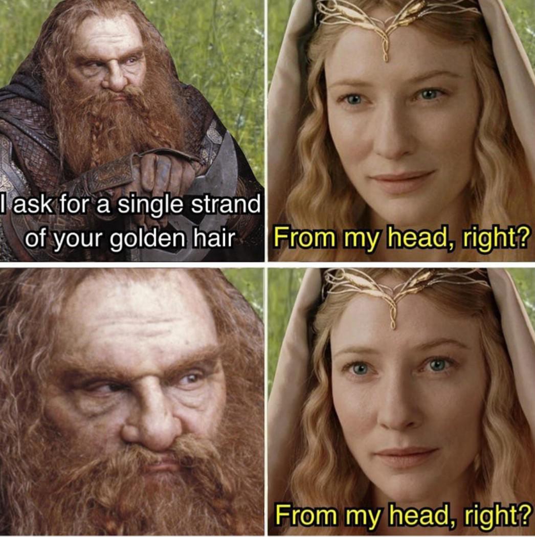 dank memes - lord of the rings - I ask for a single strand of your golden hair From my head, right? From my head, right?