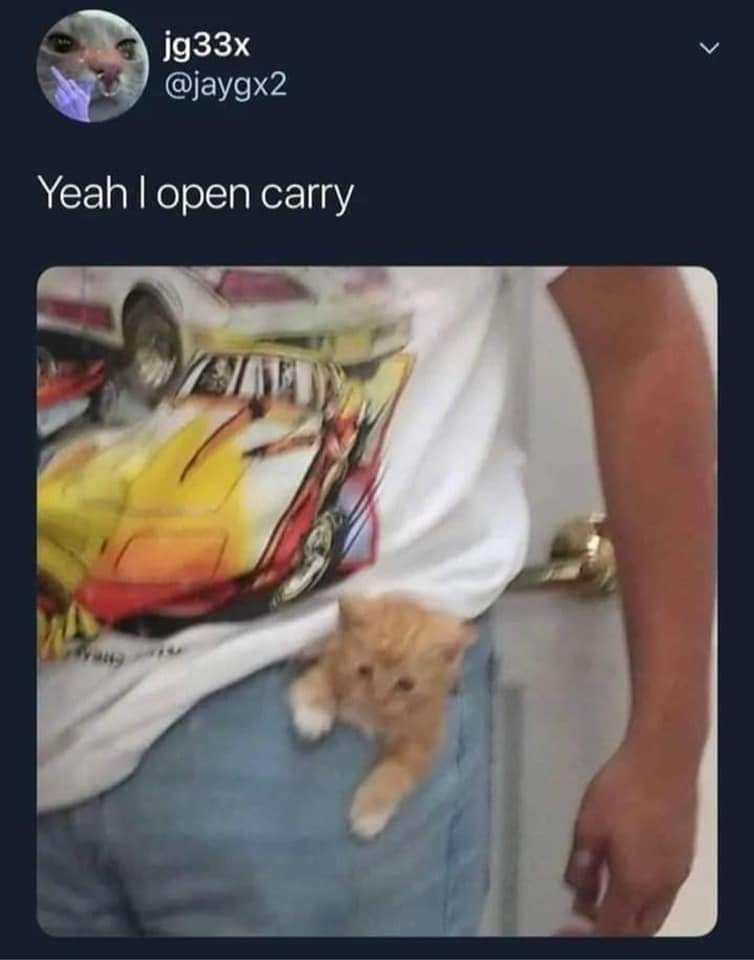 funny memes  - yeah i open carry - jg33x Yeah I open carry van