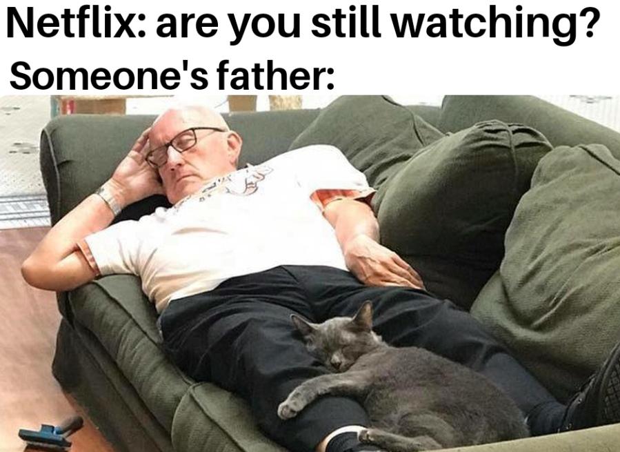 man napping with cats - Netflix are you still watching? Someone's father