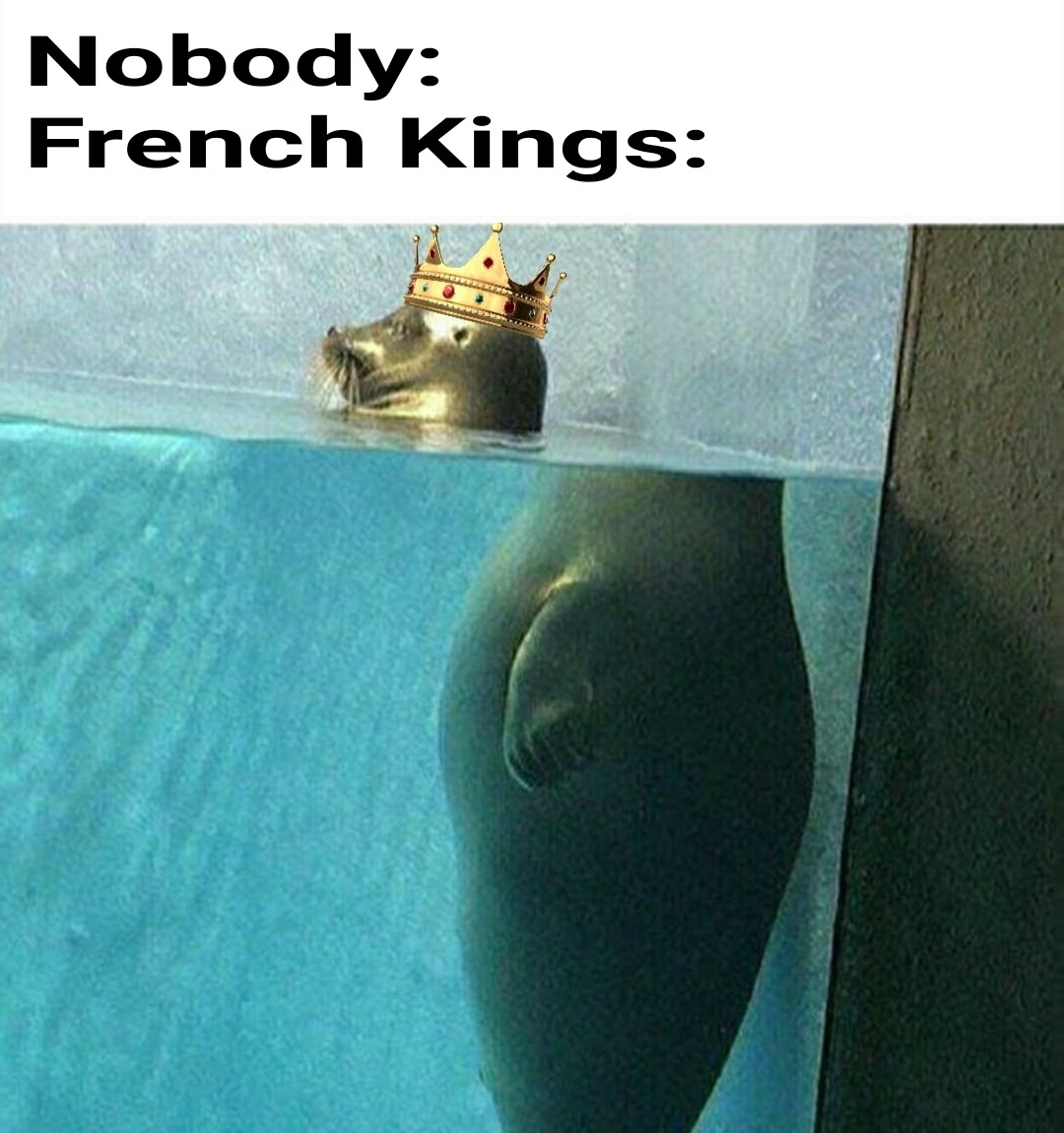 louis xvi memes - Nobody French Kings