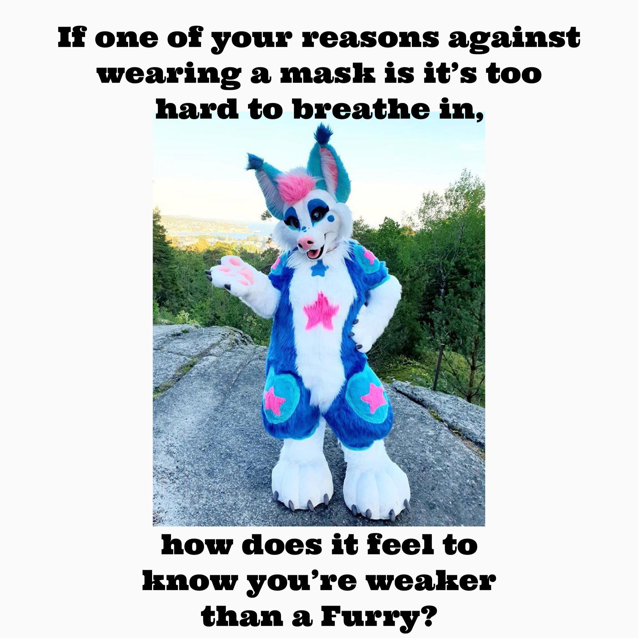 furry costume - If one of your reasons against wearing a mask is it's too hard to breathe in, how does it feel to know you're weaker than a Furry?