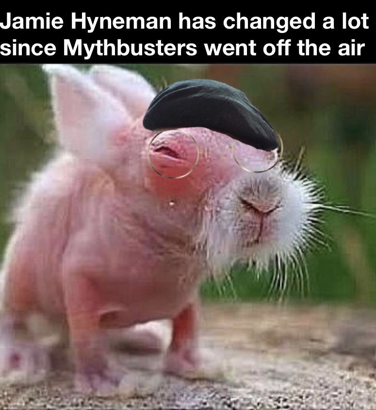 shaved rabbit - Jamie Hyneman has changed a lot since Mythbusters went off the air