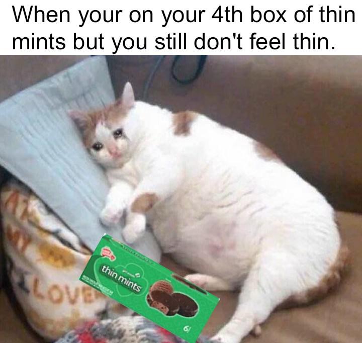 27 Fresh Memes of the Dankest Kind