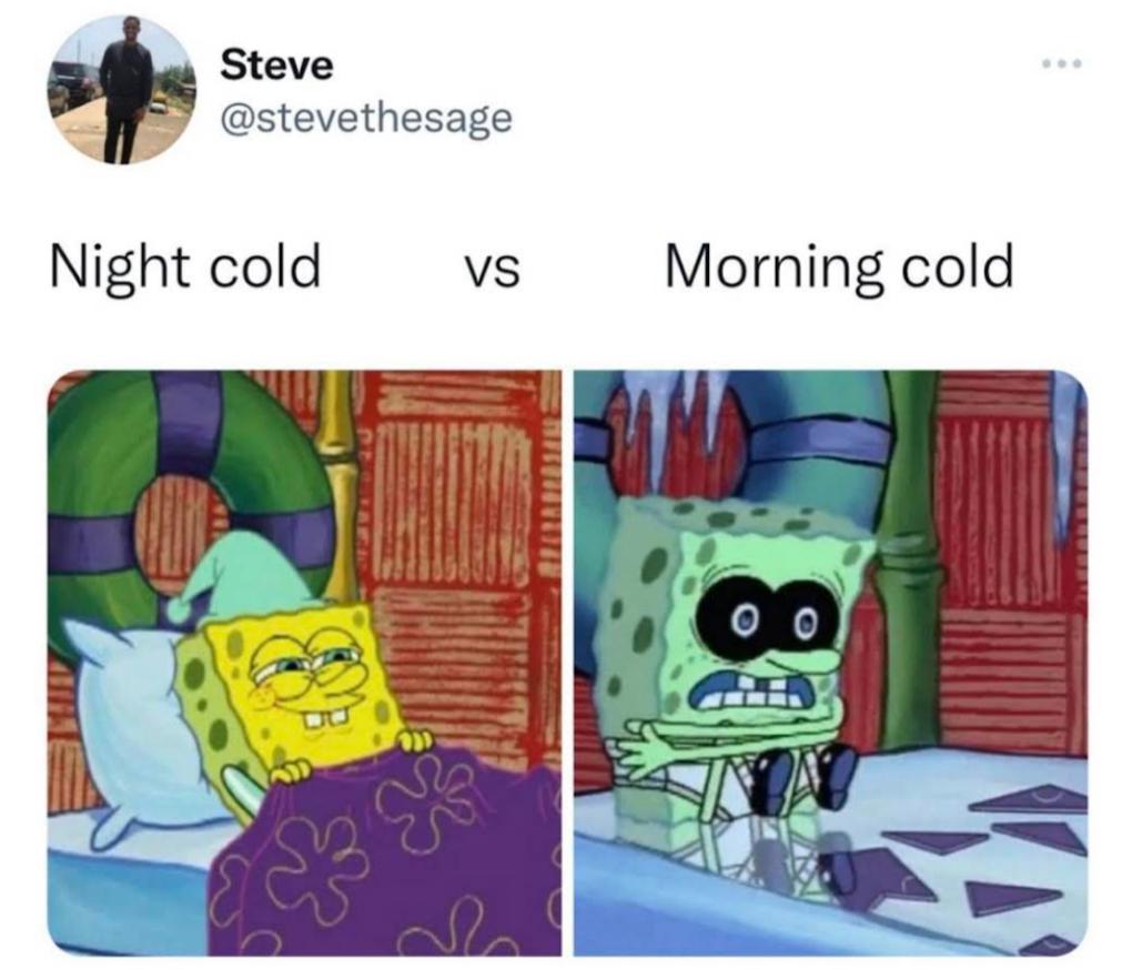 27 Fresh Memes of the Dankest Kind