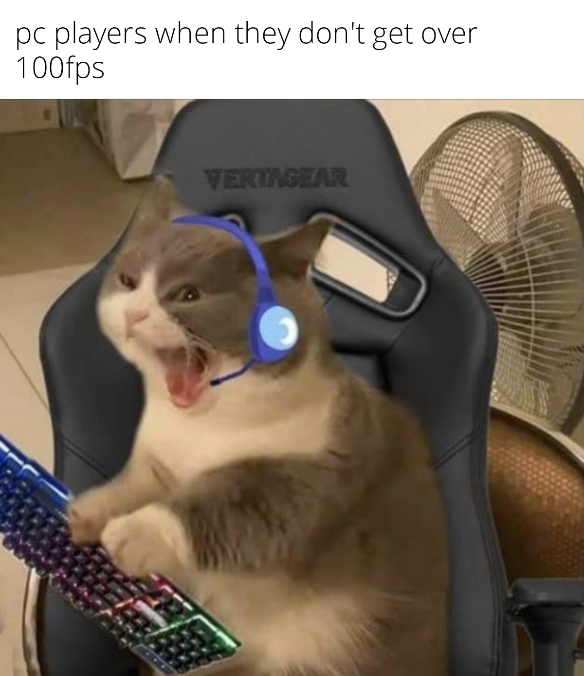 27 Fresh Memes of the Dankest Kind