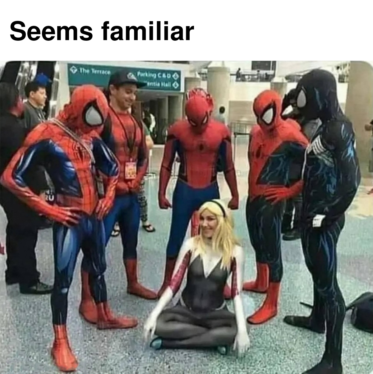 27 Fresh Memes of the Dankest Kind