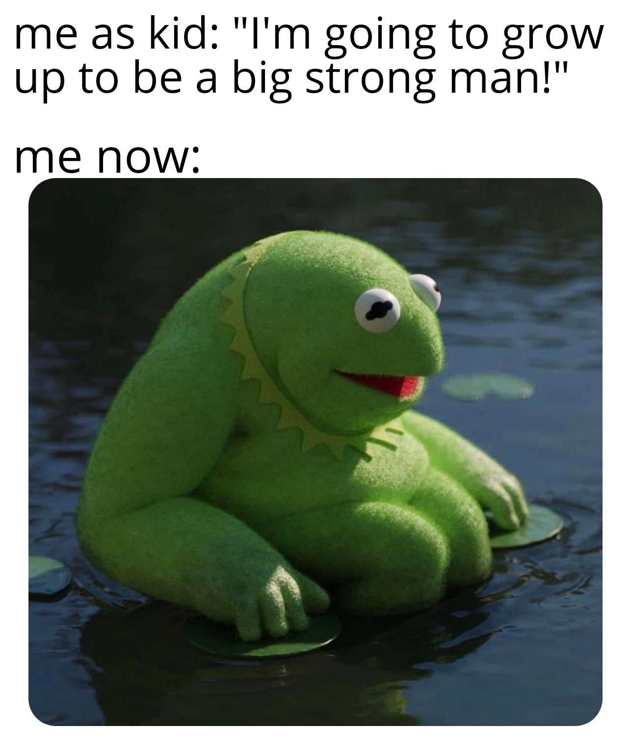 kermit meme 2021 - me as kid "I'm going to grow up to be a big strong man!" me now