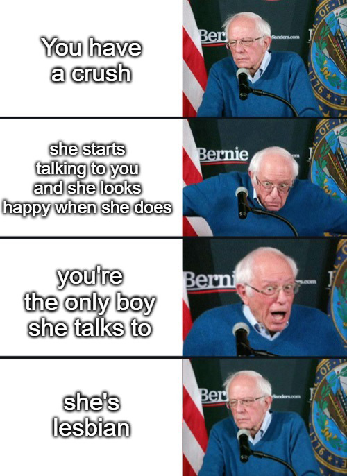 funny memes  - math exam memes - Of Ber Sanderson You have a crush Of Bernie she starts talking to you and she looks happy when she does Berni you're the only boy she talks to Of Bern she's lesbian