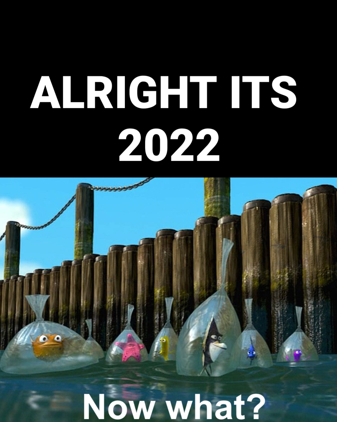 funny memes  - Alright Its 2022 Me Now what?