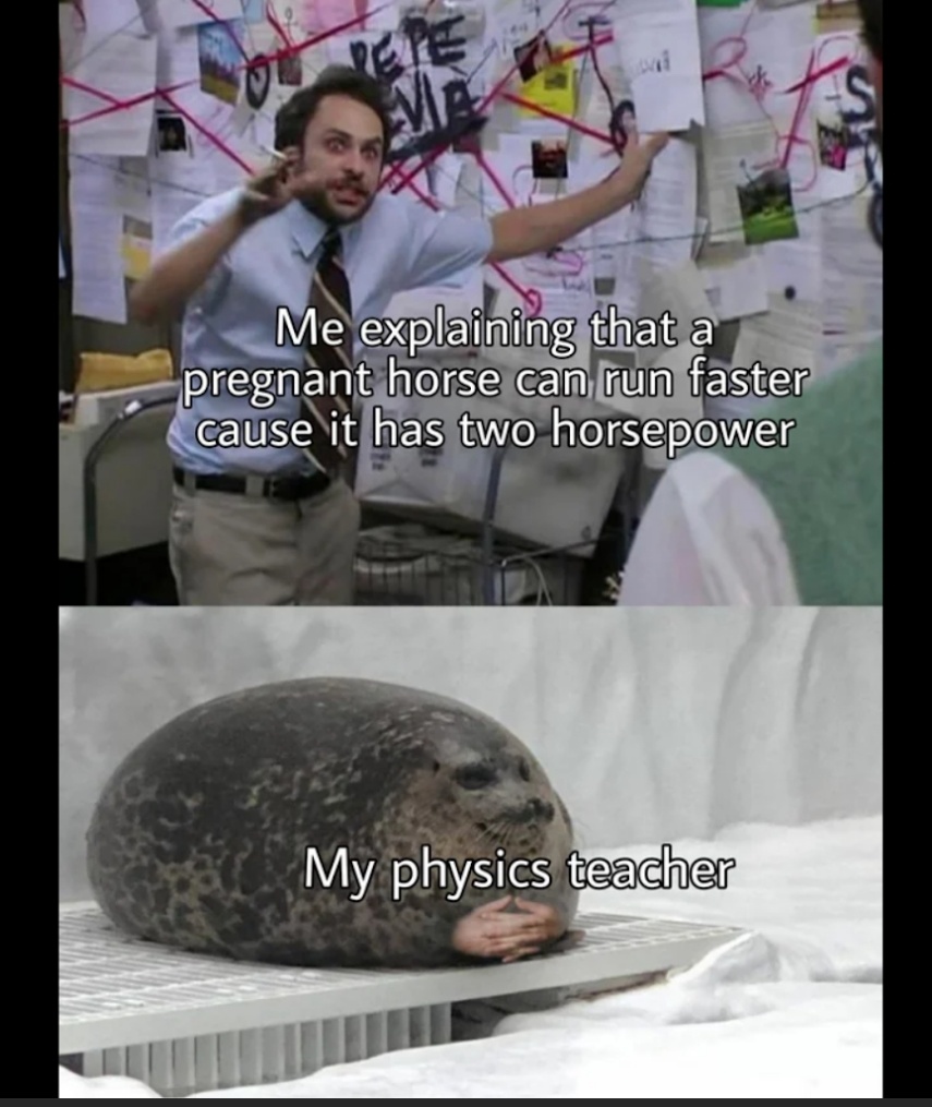 funny memes  - pepe silvia - Me explaining that a pregnant horse can run faster cause it has two horsepower My physics teacher