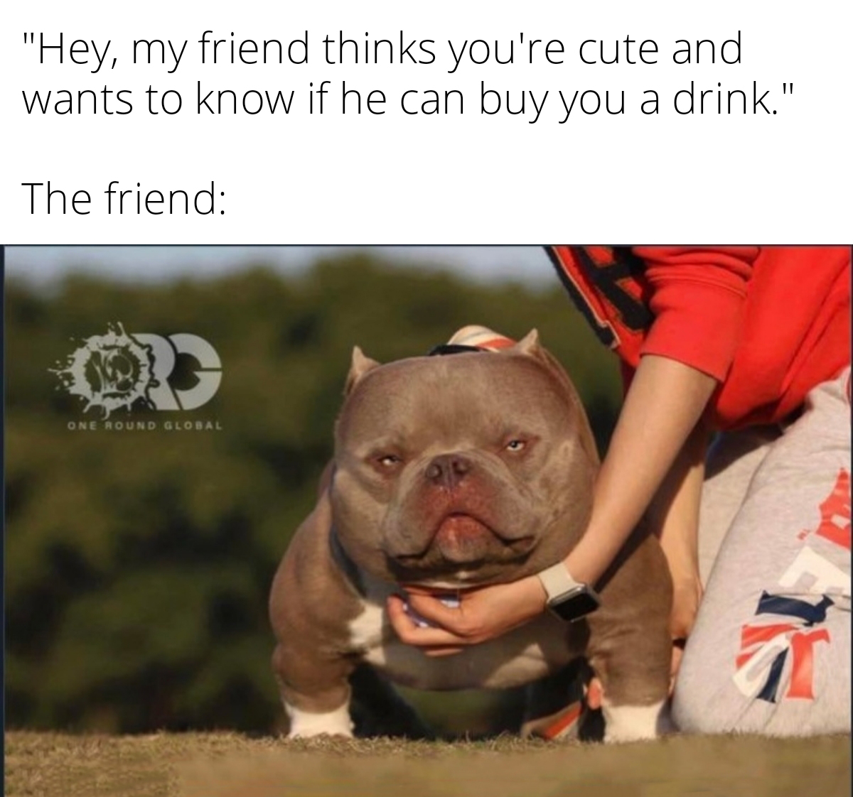 funny memes - dank memes - photo caption - "Hey, my friend thinks you're cute and wants to know if he can buy you a drink." The friend One Round Global
