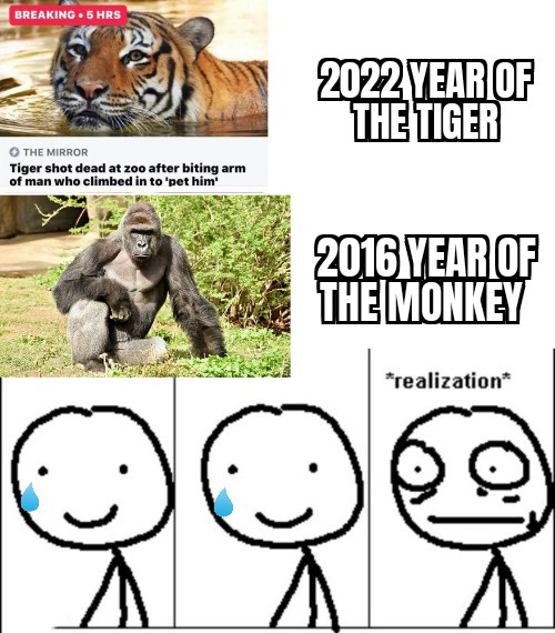 funny memes - dank memes - realization meme - Breaking.5 Hrs 2022 Year Of The Tiger The Mirror Tiger shot dead at zoo after biting arm of man who climbed in to 'pet him 2016 Year Of The Monkey realization Od