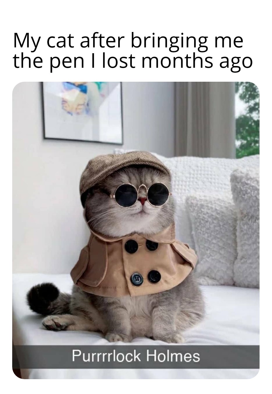 funny memes - dank memes - gato swag - My cat after bringing me the pen I lost months ago Purrrrlock Holmes