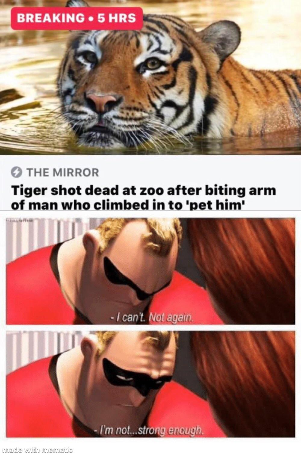 funny memes - dank memes - nnn challenge - Breaking 5 Hrs The Mirror Tiger shot dead at zoo after biting arm of man who climbed in to 'pet him' I can't. Not again I'm not...strong enough made with mematic