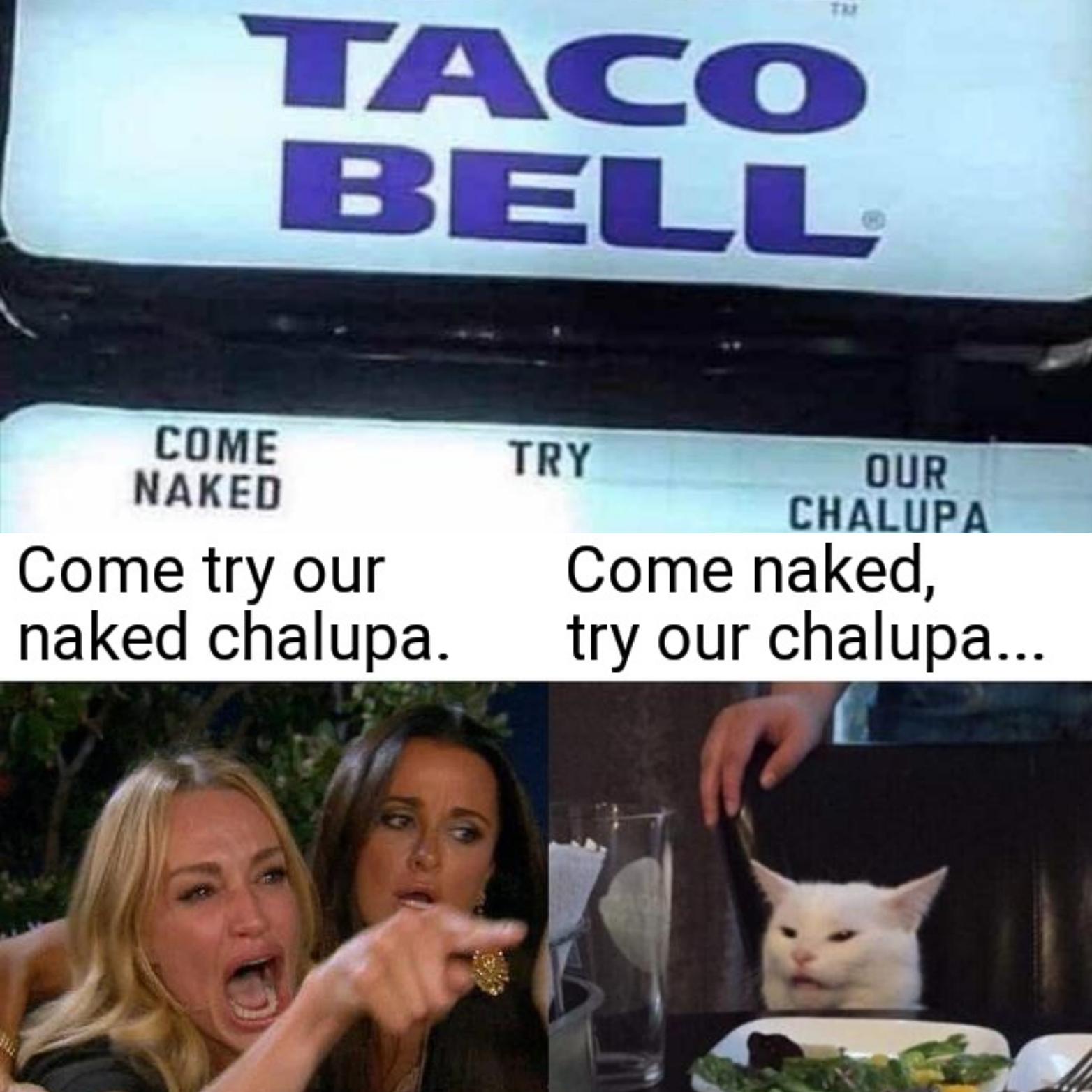 funny memes - dank memes -funny cat memes - Taco Bell Come Naked Come try our naked chalupa. Try Our Chalupa. Come naked, try our chalupa...