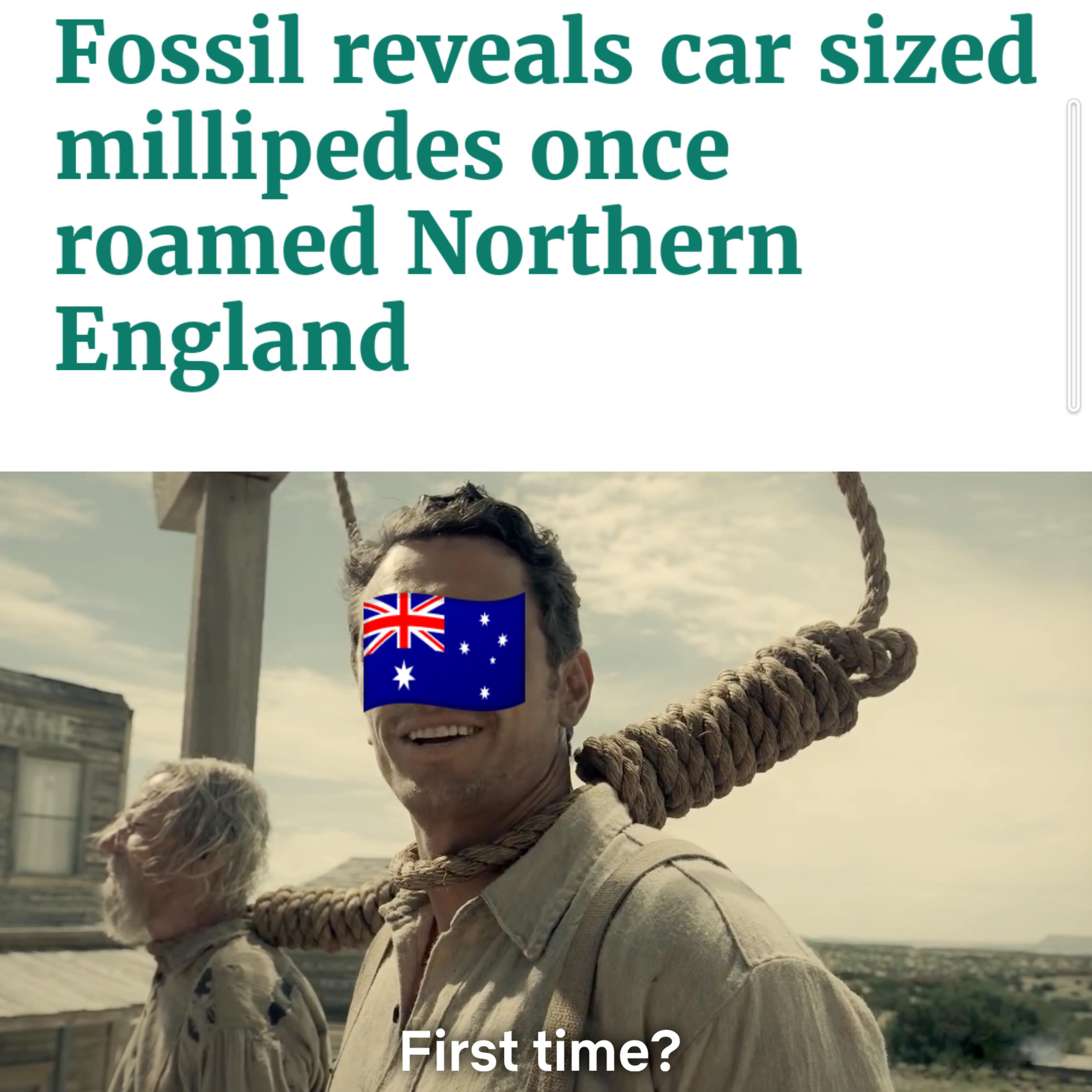 funny memes - dank memes -jost a tiny lil spidah mate - Fossil reveals car sized millipedes once roamed Northern England Nk First time?