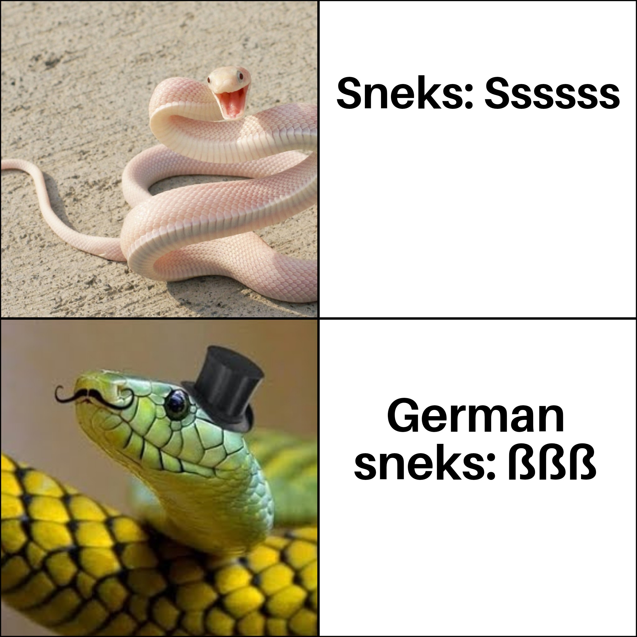 funny memes - dank memes -imágenes de una vivora - Sneks Ssssss German sneks Bbb