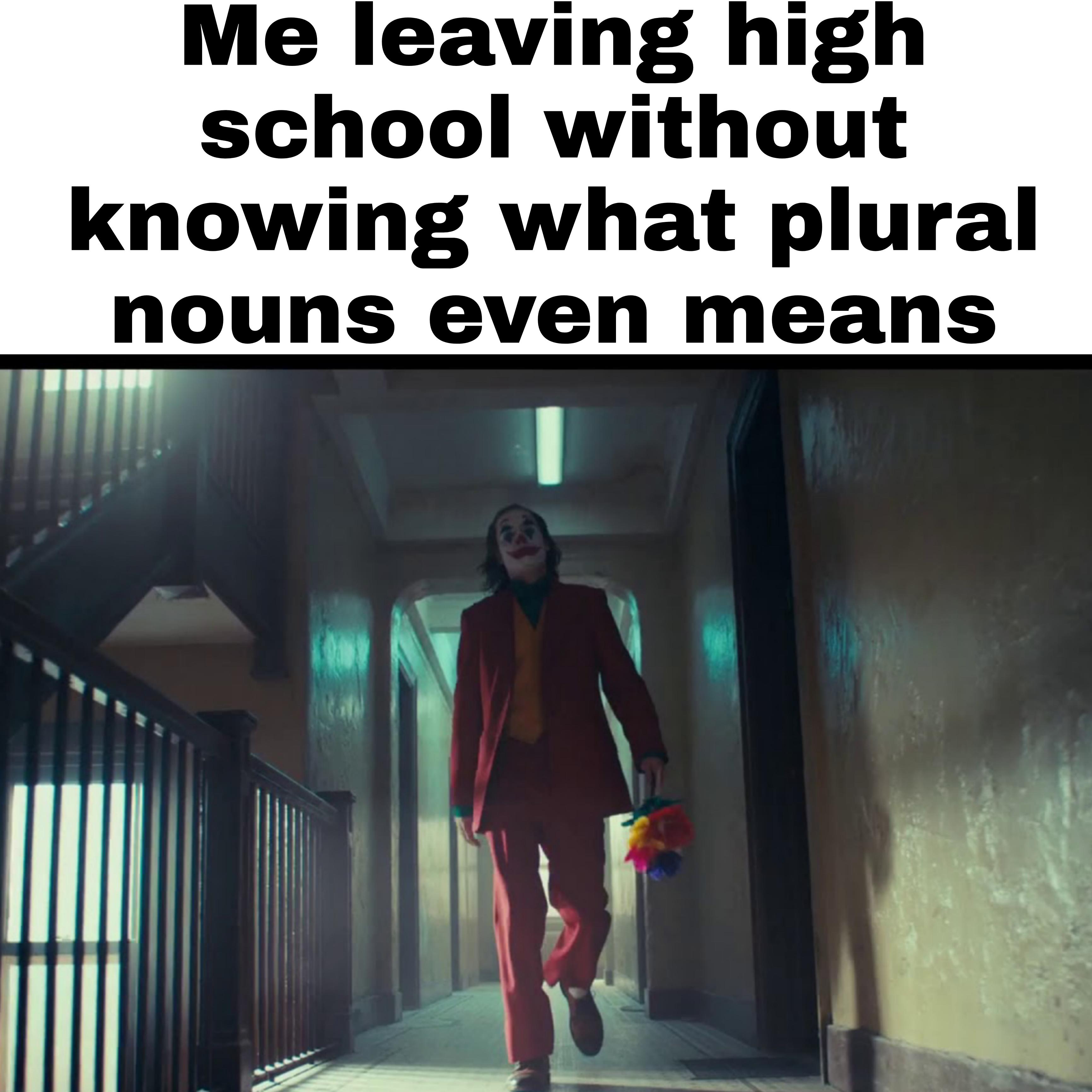 funny memes - dank memes -my healthevet - Me leaving high school without knowing what plural nouns even means