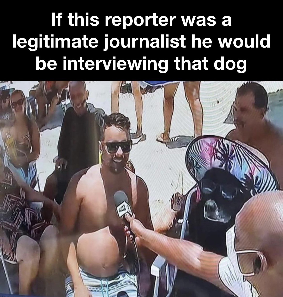 If this reporter was a legitimate journalist he would be interviewing that dog meg
