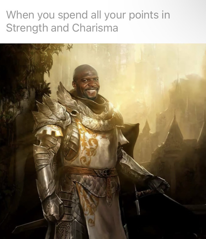 dank memes - funny memes - guild wars 2 - When you spend all your points in Strength and Charisma Te