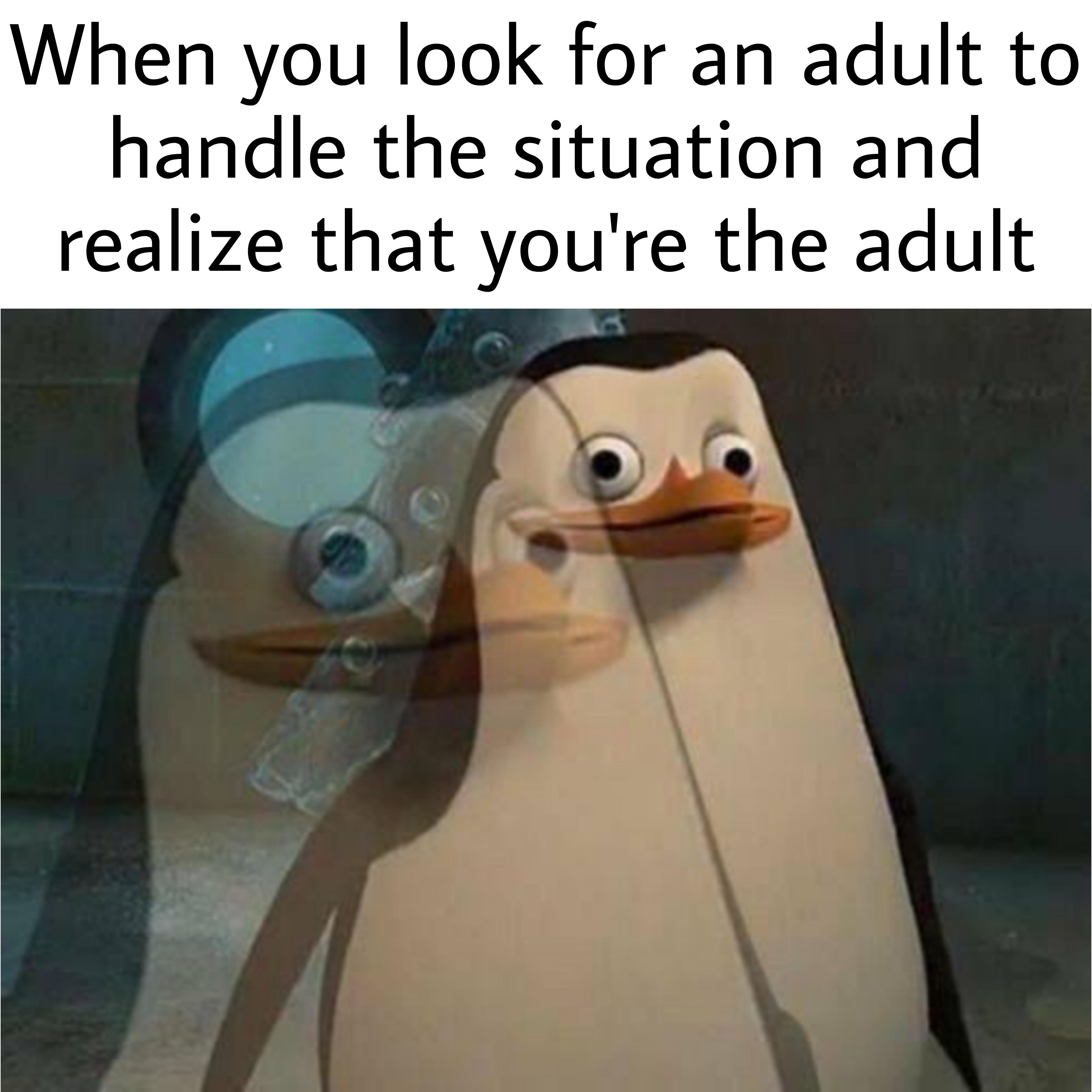 funny memes - dank memes - penguin meme - a When you look for an adult to handle the situation and realize that you're the adult a