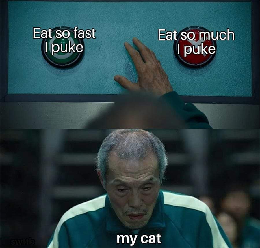 squid game button meme - Eat so fast I puke Eat so much I puke switb my cat