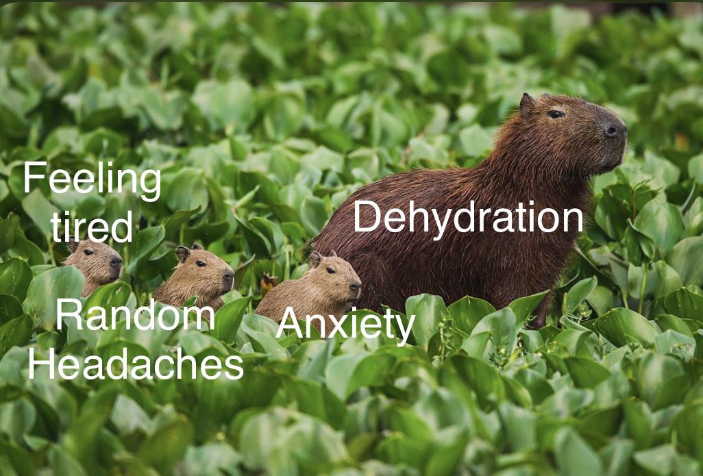 dank memes - fauna - Feeling tired Dehydration Random Headaches Anxiety