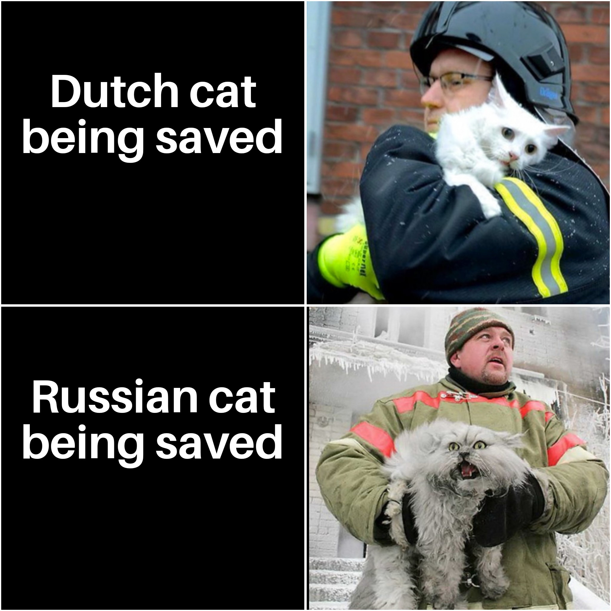 dank memes - cat i started the fire - Dutch cat being saved Russian cat being saved