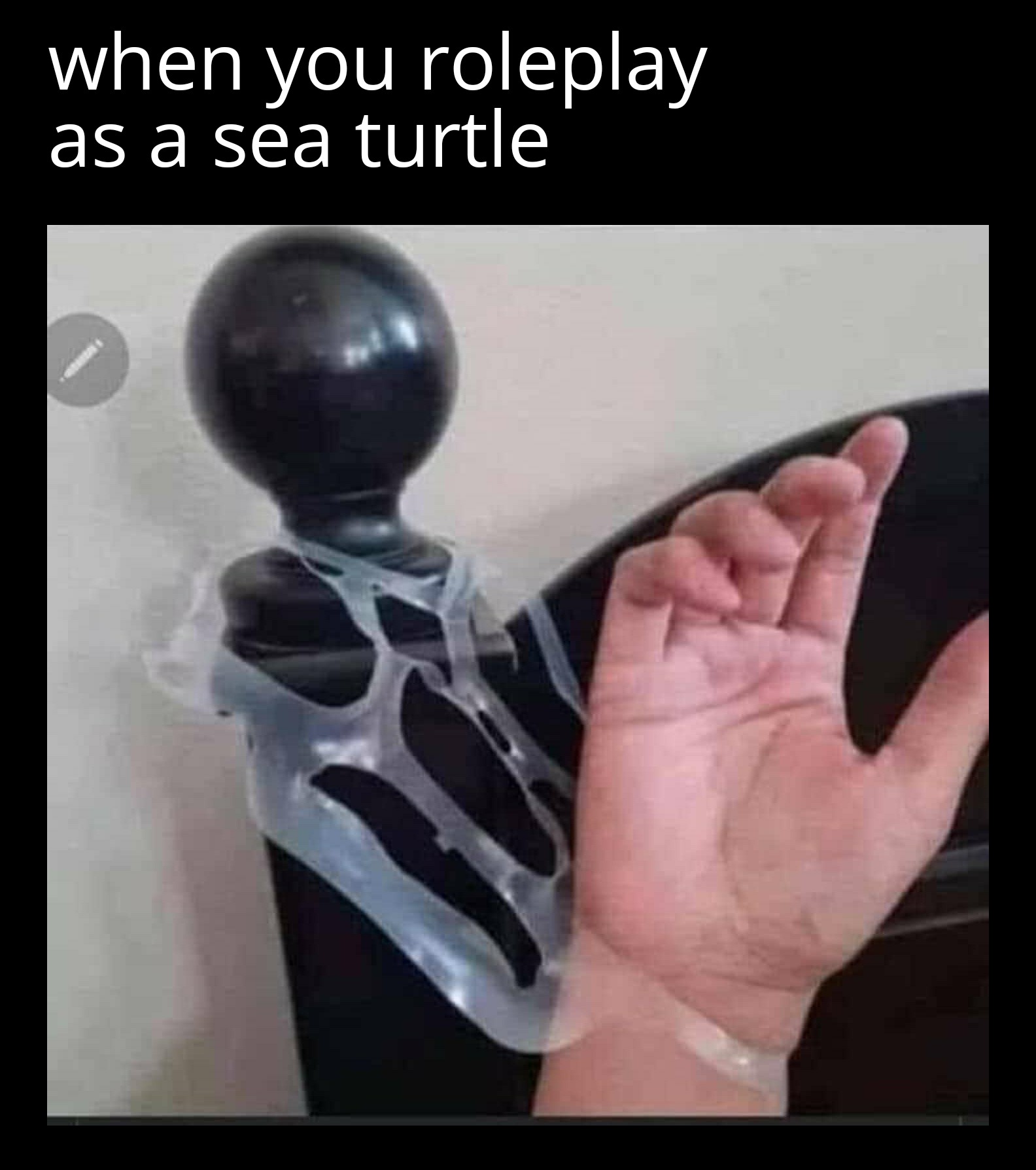 you re freaky but on a budget - when you roleplay as a sea turtle
