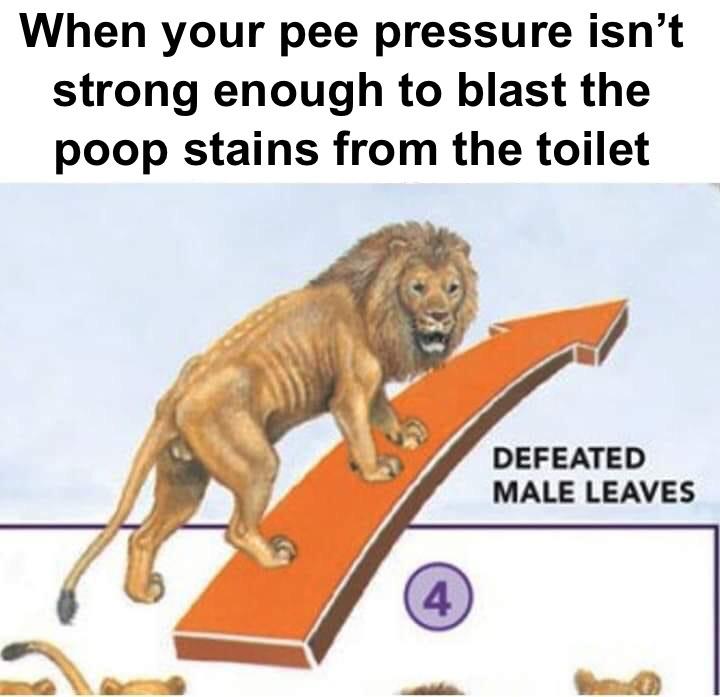 defeated male leaves - When your pee pressure isn't strong enough to blast the poop stains from the toilet Defeated Male Leaves 4