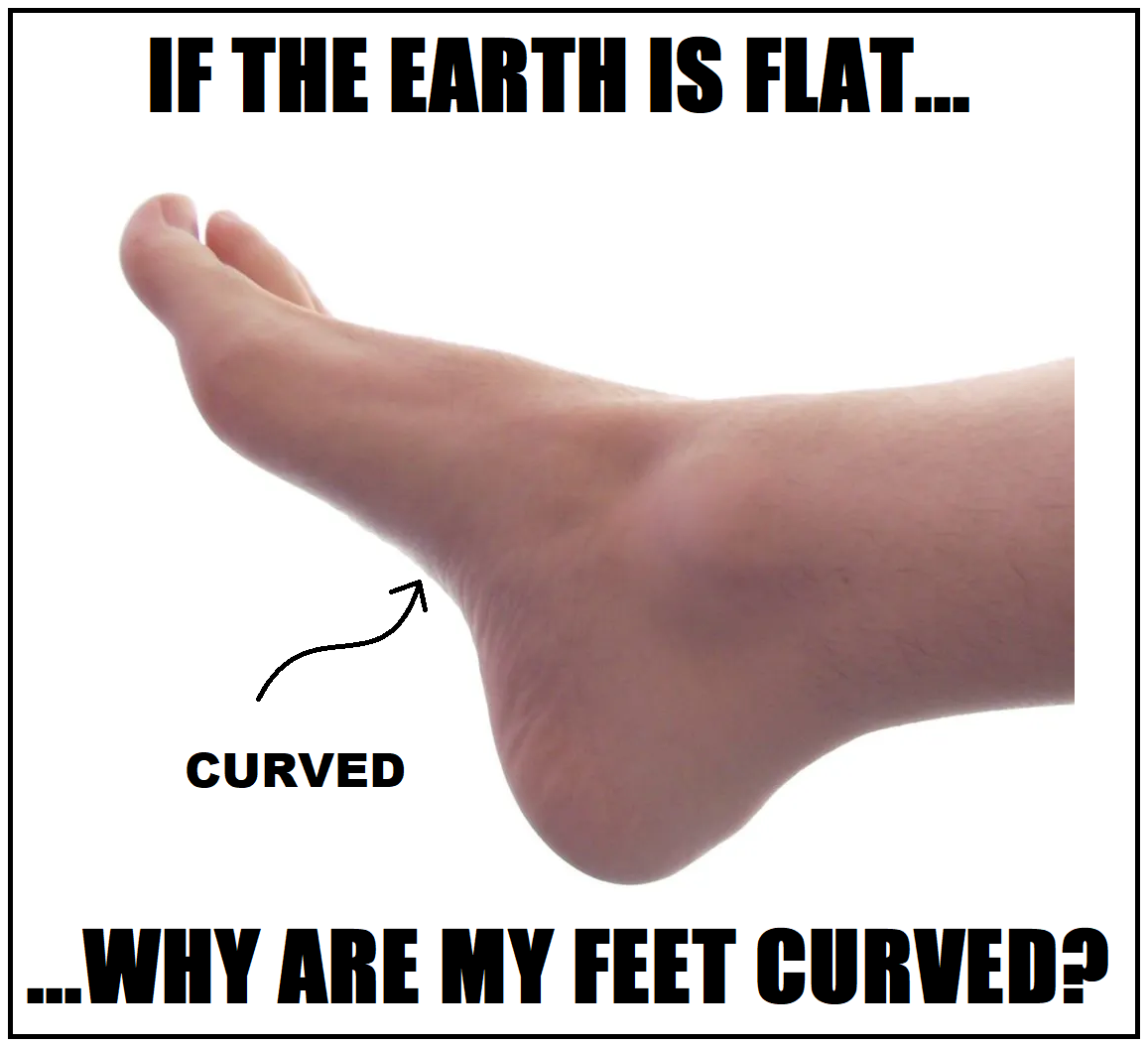 dank memes, funny memes - conservative party - If The Earth Is Flat... Curved Why Are My Feet Curved?