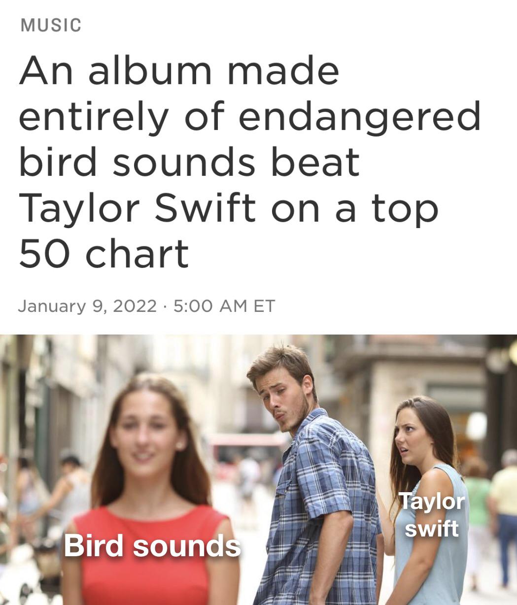 dank memes, funny memes - whistle if you love your girlfriend - Music An album made entirely of endangered bird sounds beat Taylor Swift on a top 50 chart Et Taylor swift Bird sounds