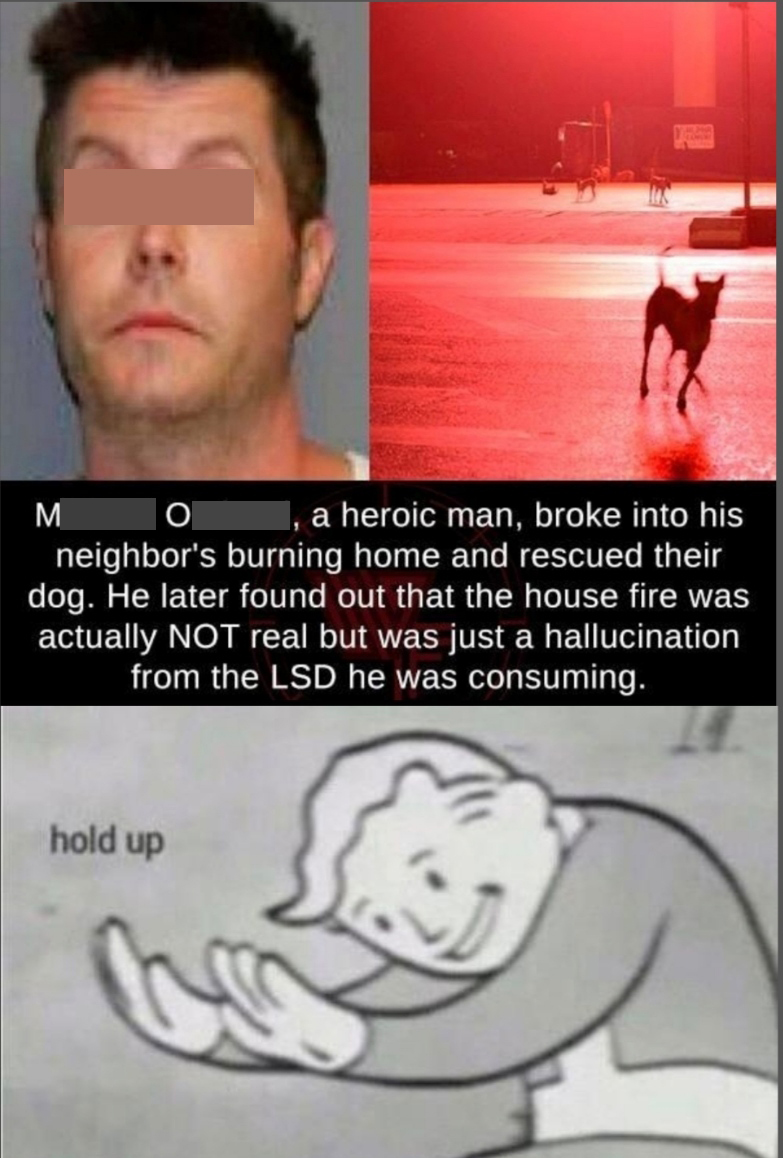 dank memes, funny memes - karelia memes - a heroic man, broke into his neighbor's burning home and rescued their dog. He later found out that the house fire was actually Not real but was just a hallucination from the Lsd he was consuming. hold up