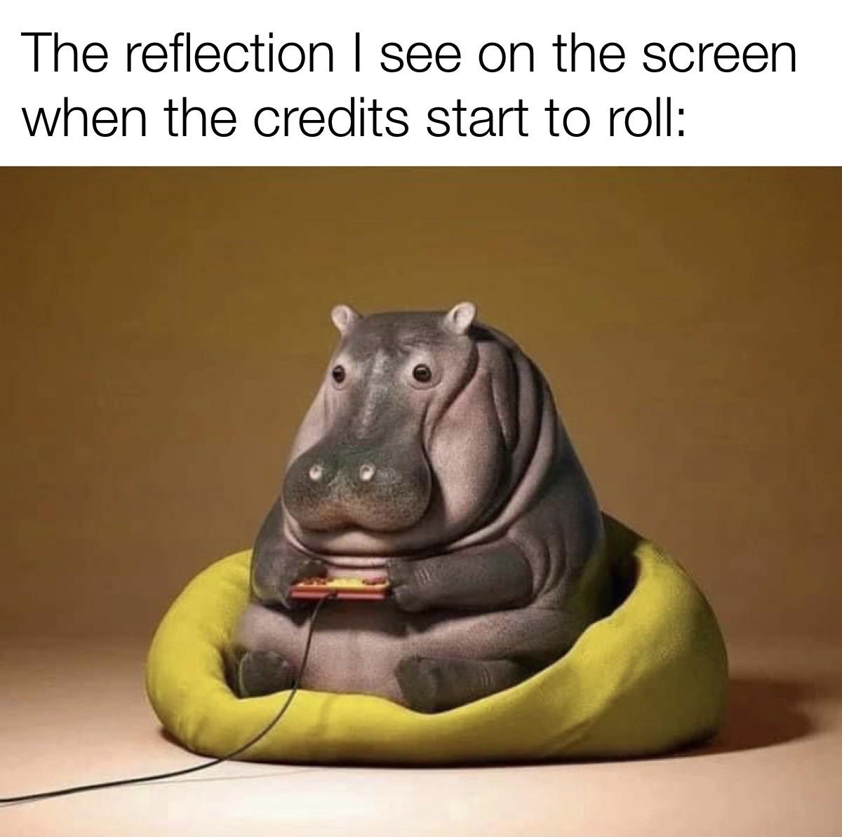 dank memes, funny memes - gamer hippo - The reflection I see on the screen when the credits start to roll