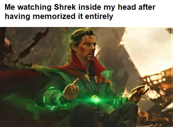 dank memes - funny memes - doctor strange timelines - Me watching Shrek inside my head after having memorized it entirely