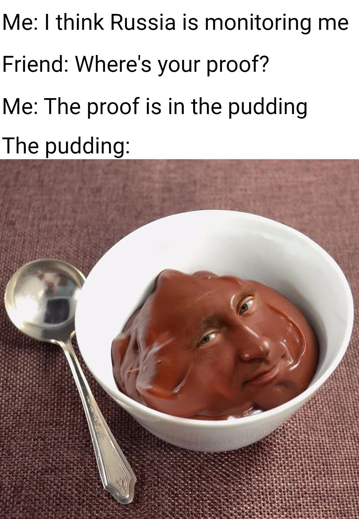 dank memes - funny memes - vladimir budin - Me I think Russia is monitoring me Friend Where's your proof? Me The proof is in the pudding The pudding