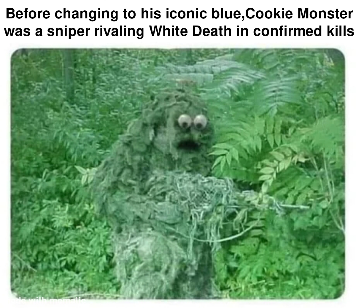 dank memes - funny memes - add googly eyes to ghillie suit - Before changing to his iconic blue,Cookie Monster was a sniper rivaling White Death in confirmed kills