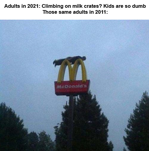 dank memes - funny memes - 2010 was a simpler time - Adults in 2021 Climbing on milk crates? Kids are so dumb Those same adults in 2011 McDonald's