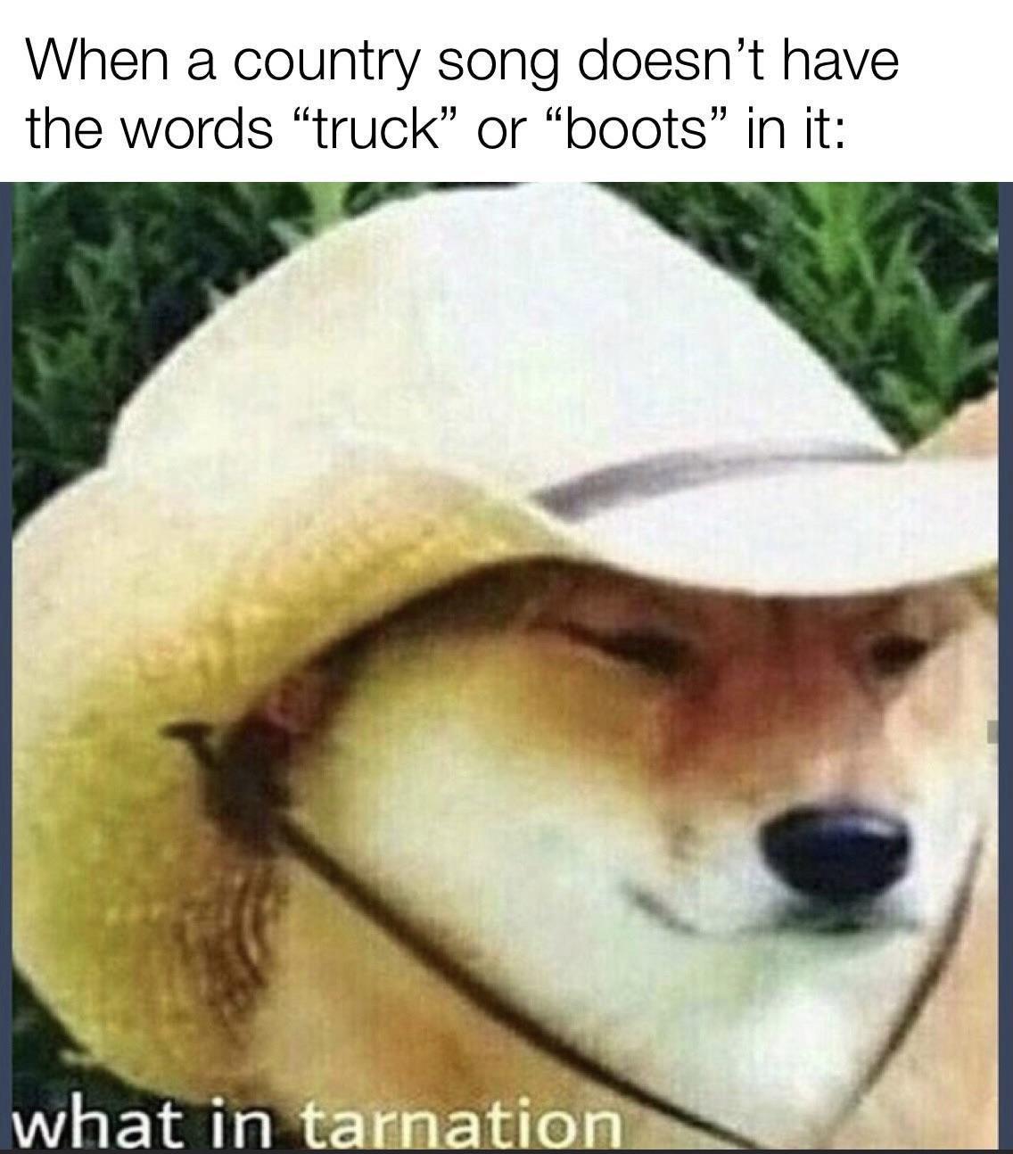 dank memes - f250 what in tarnation meme - When a country song doesn't have the words "truck" or "boots" in it what in tarnation