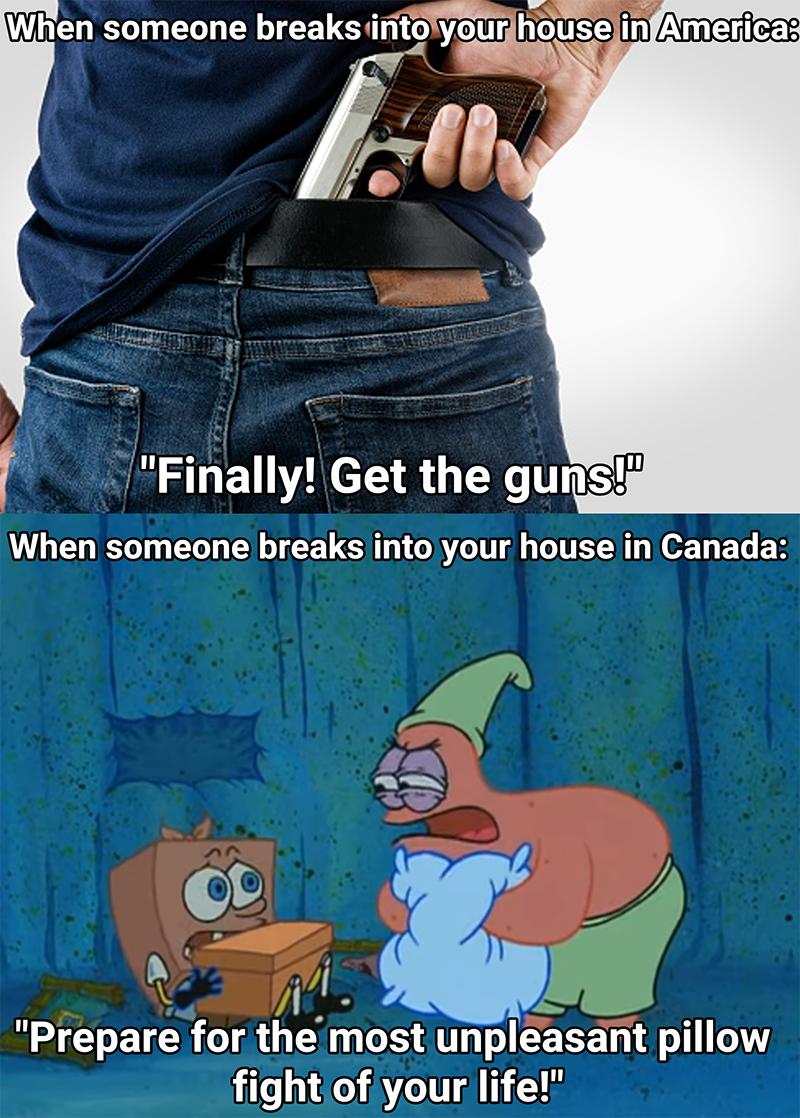 dank memes - time meme - When someone breaks into your house in America Fa "Finally! Get the guns!" When someone breaks into your house in Canada "Prepare for the most unpleasant pillow fight of your life!"