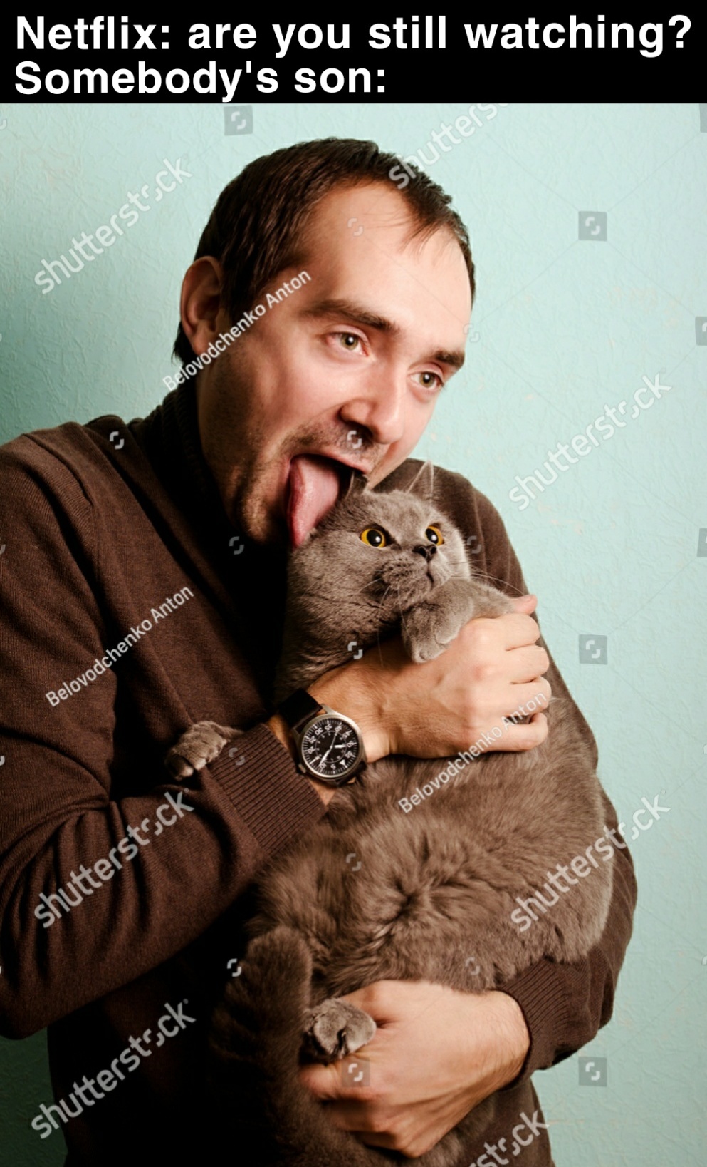 dank memes - guy licking cat - Netflix are you still watching? Somebody's son State shutterstock ovodchenko Anton shutterstock Belovodchenko Anton Belowe shutterstock shutterstock shutterstock stock