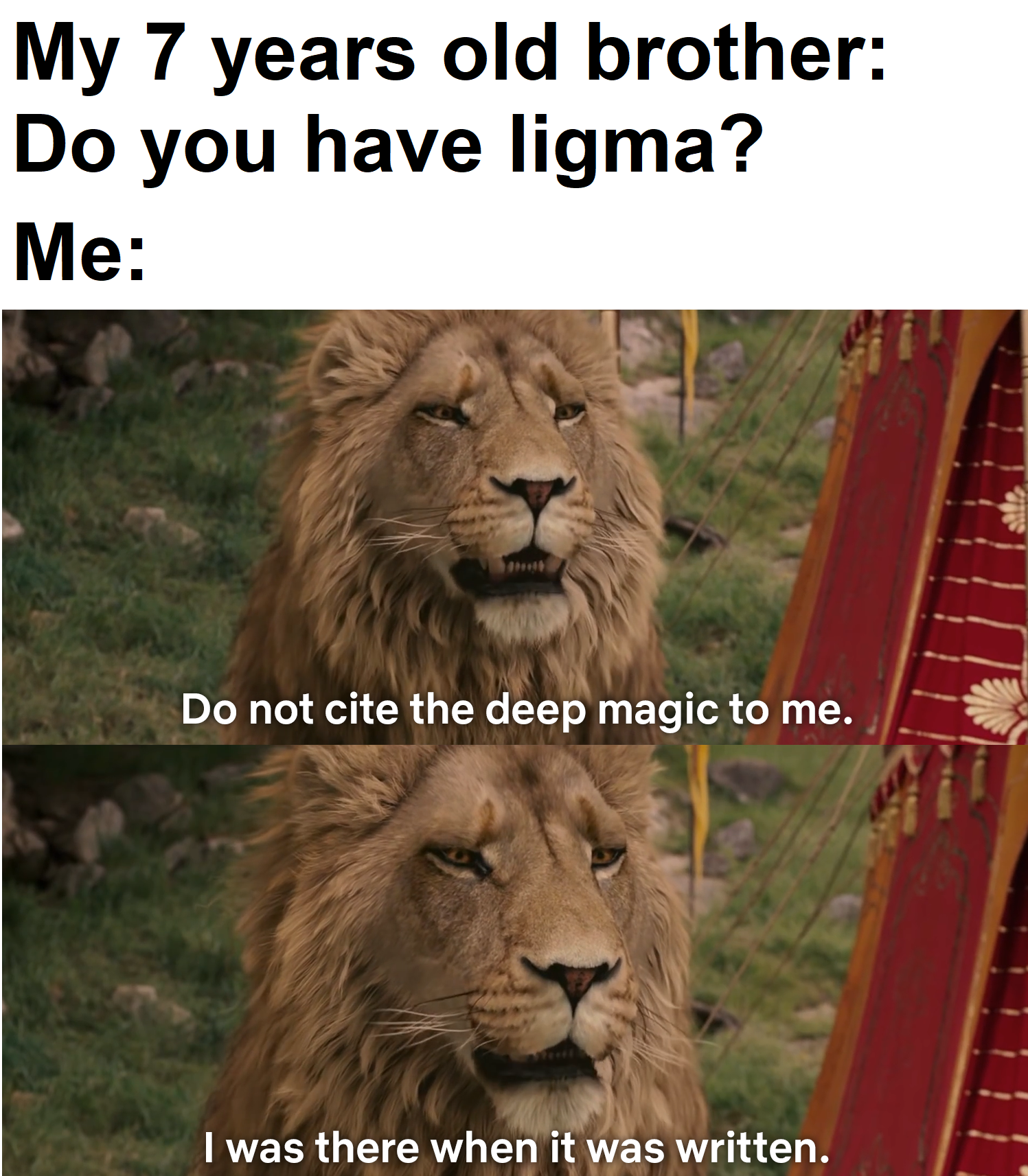 do not cite the deep magic meme - My 7 years old brother Do you have ligma? Me Do not cite the deep magic to me. I was there when it was written.
