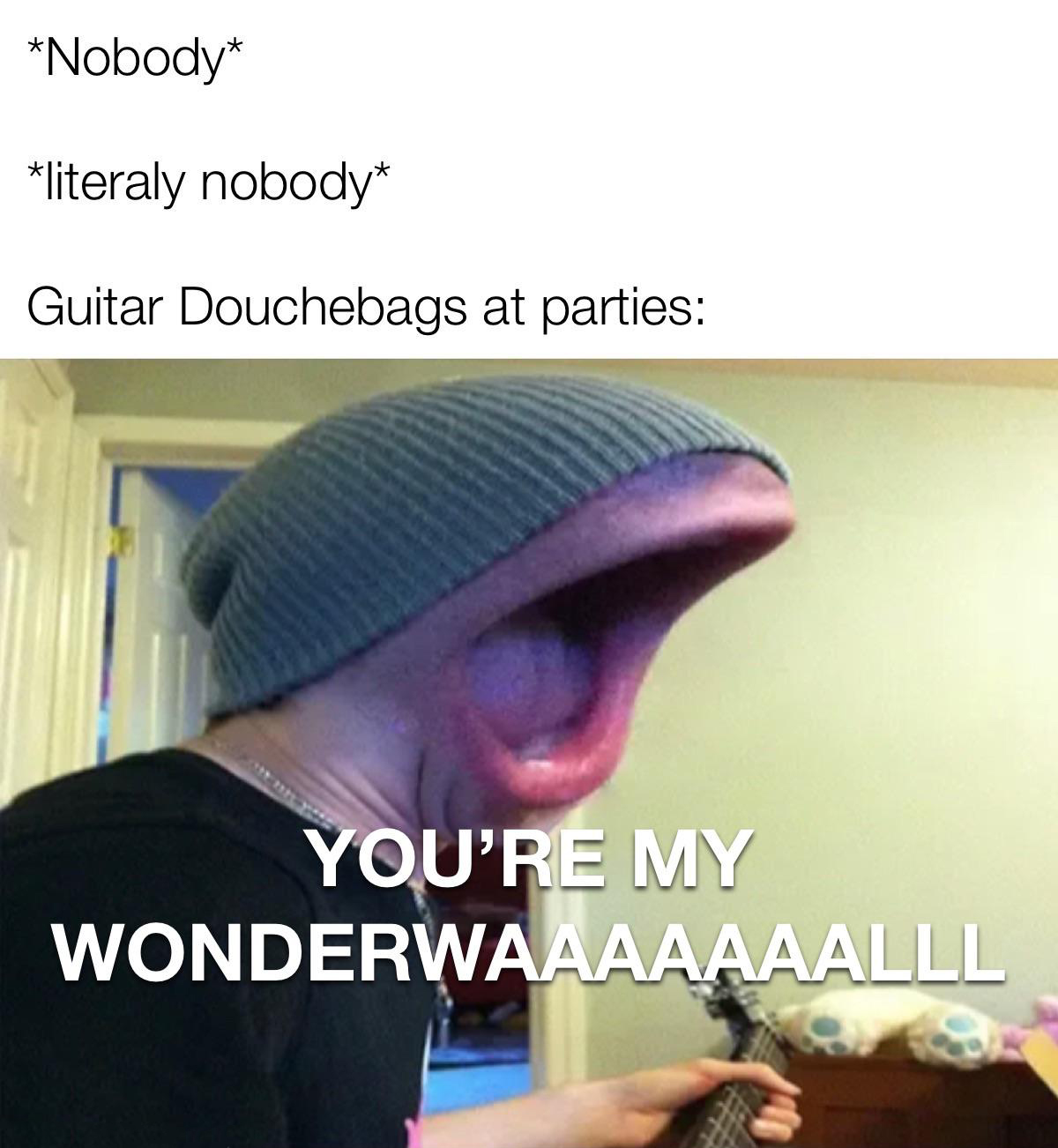 photo caption - Nobody literaly nobody Guitar Douchebags at parties You'Re My Wonderwaaaaaaalll