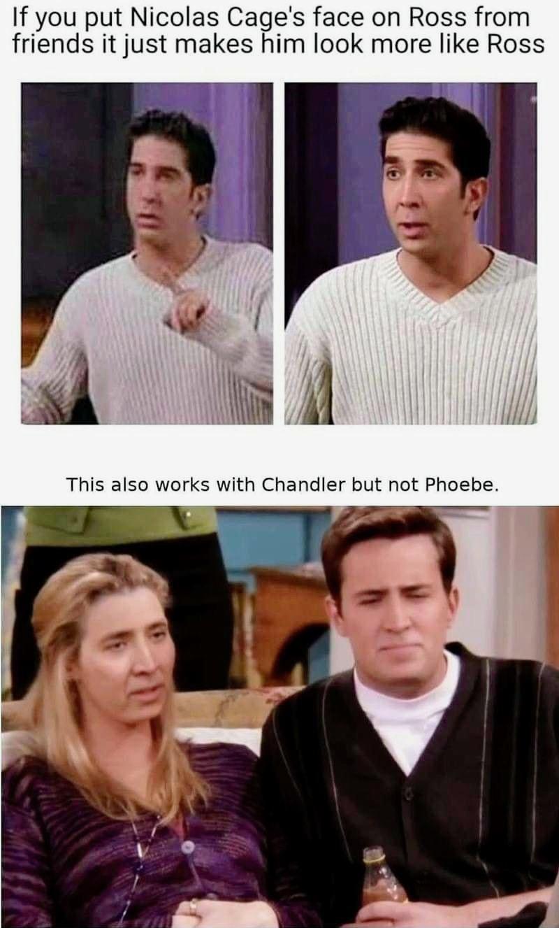 nicolas cage face on ross - If you put Nicolas Cage's face on Ross from friends it just makes him look more Ross This also works with Chandler but not Phoebe.