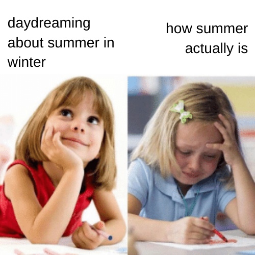 dank memes - funny memes - premed meme - daydreaming about summer in winter how summer actually is