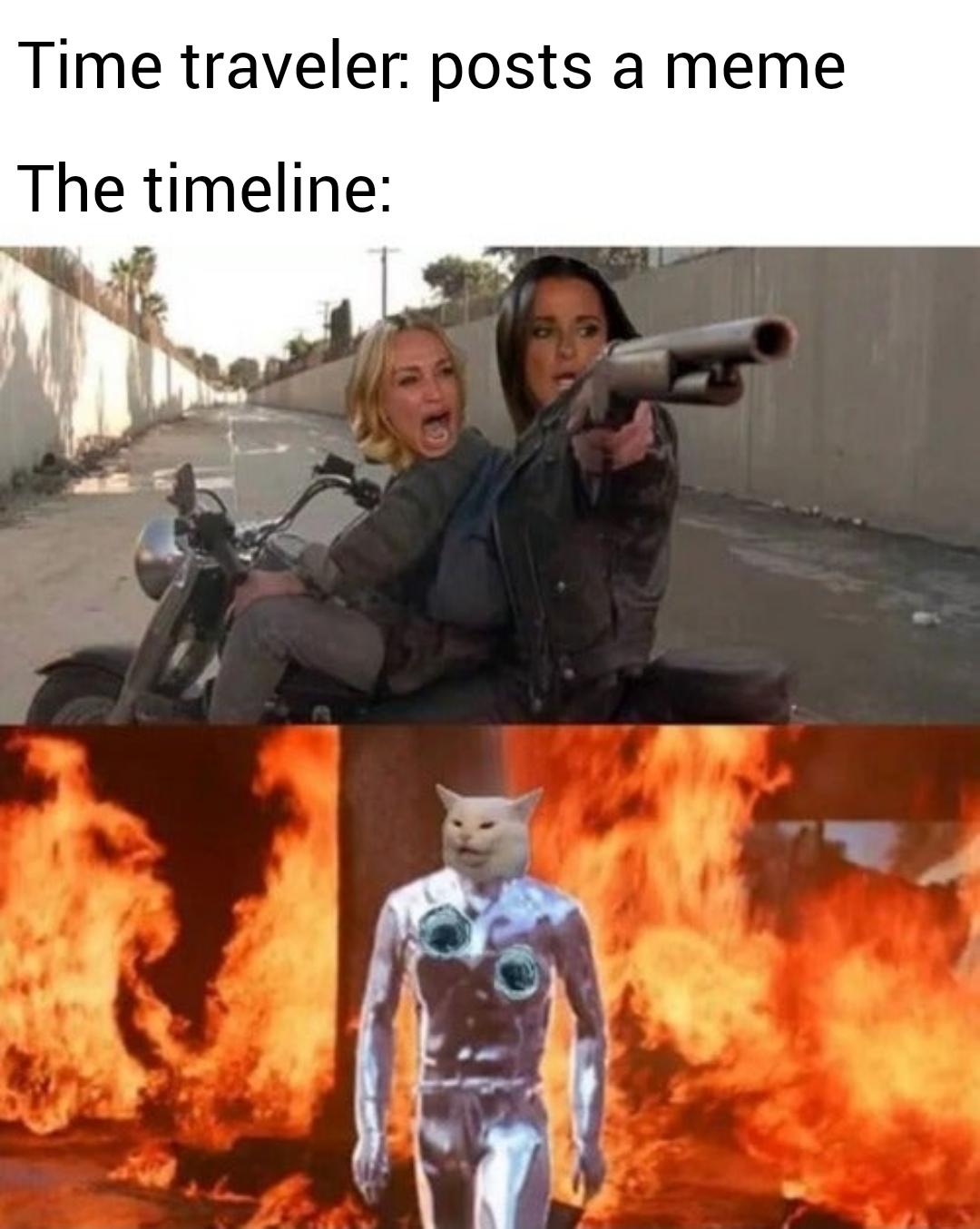 terminator 2 - Time traveler posts a meme The timeline